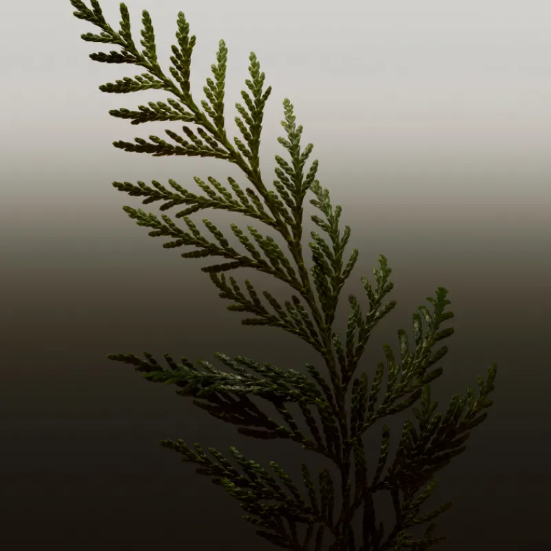 HERO PARFUM Hombre Eau De Parfum Hombre|Eau De Parfum