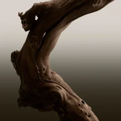 HERO PARFUM Hombre Eau De Parfum Hombre|Eau De Parfum