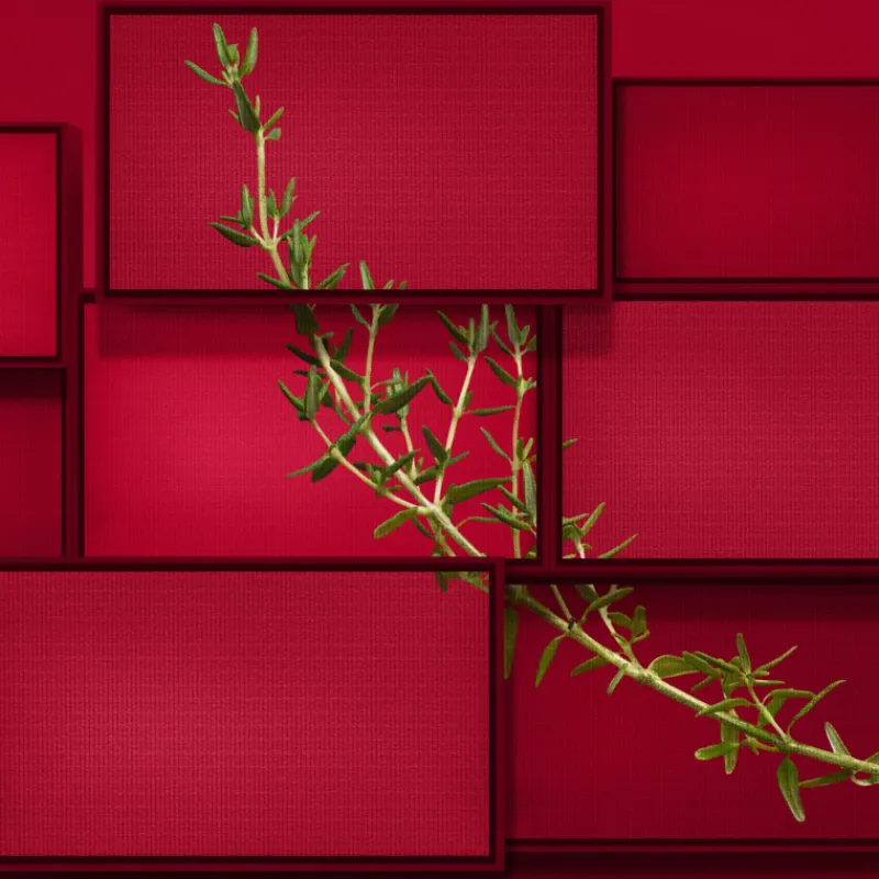 Clearance HUGO INTENSE EAU DE PARFUM Hombre Eau De Parfum Hombre|Eau De Parfum