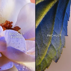 Discount IDYLLE EDP 75ML Mujer Eau De Parfum Mujer