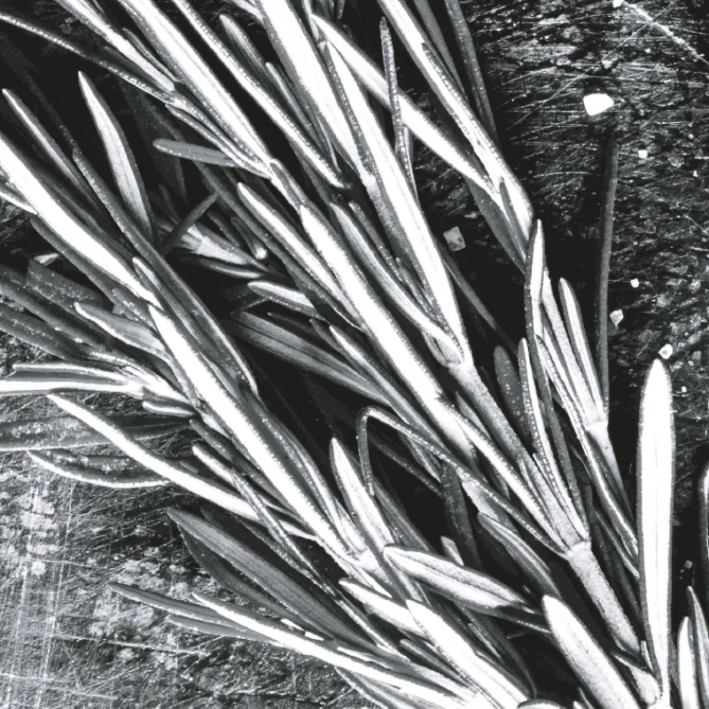 Online IN ABUNDANCE EDP VAPORIZADOR Hombre Eau De Parfum Hombre|Eau De Parfum