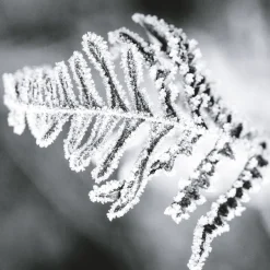 Clearance In Contrast Eau de Parfum Hombre Eau De Parfum Hombre|Eau De Parfum