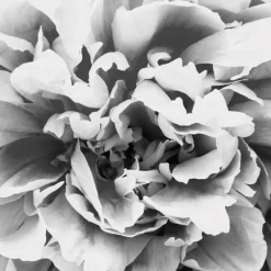 Best IN LUCK EDP VAPORIZADOR Mujer Eau De Parfum Mujer