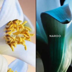 New JARDINS DE BAGATELLE EDP 75ML Mujer Eau De Parfum Mujer