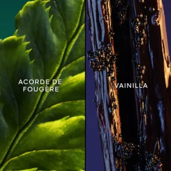 Best JICKY EDP 75ML Mujer Eau De Parfum Mujer