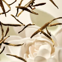 Clearance KARMA SHAMPOO Shampoo