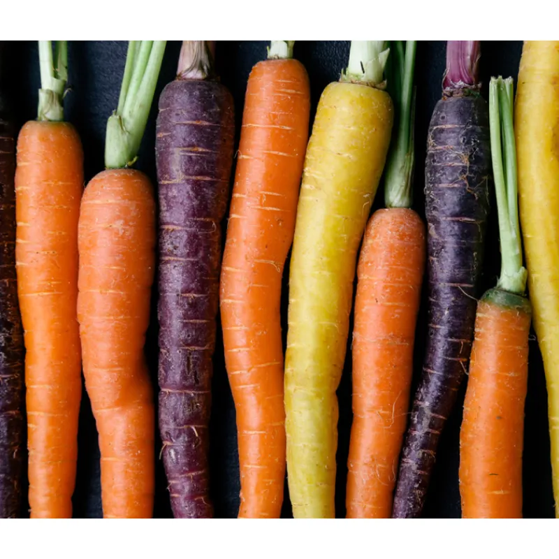 Outlet Creamy Eye Treatment with Avocado Crema Contorno de Ojos Hidratante Vitamina E|Ojos & Labios