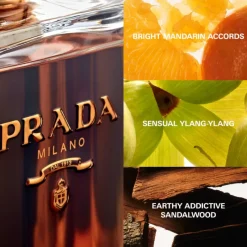 Hot LA FEMME L'EAU EAU DE TOILETTE Mujer Eau De Toilette Mujer