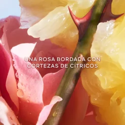 Outlet La Petite Robe Noire Eau de Toilette Mujer Eau De Toilette Mujer