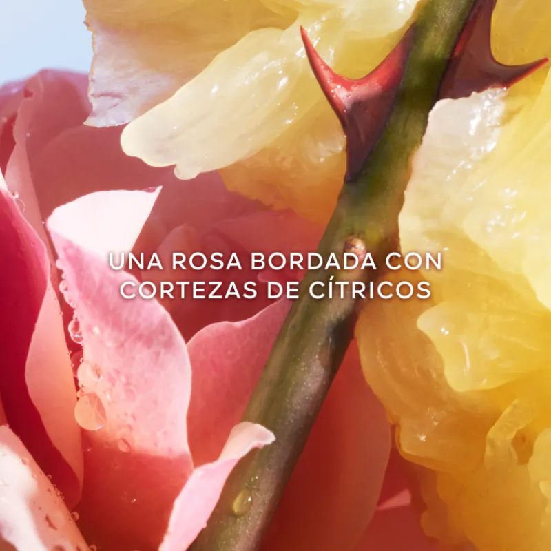 Outlet La Petite Robe Noire Eau de Toilette Mujer Eau De Toilette Mujer