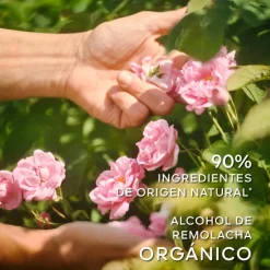 Outlet La Petite Robe Noire Eau de Toilette Mujer Eau De Toilette Mujer