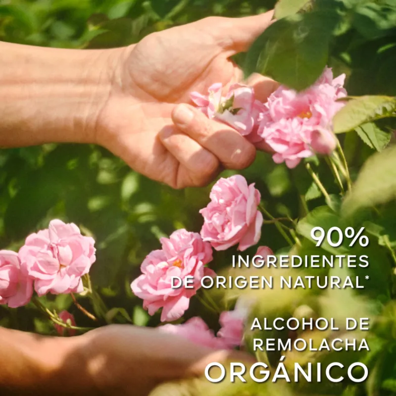 Outlet La Petite Robe Noire Eau de Toilette Mujer Eau De Toilette Mujer