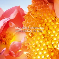 Sale La Petite Robe Noire Honey Rose Eau de Parfum Edición Limitada Mujer Eau De Parfum Mujer