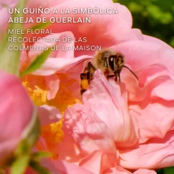 Sale La Petite Robe Noire Honey Rose Eau de Parfum Edición Limitada Mujer Eau De Parfum Mujer