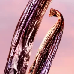 Hot La Vie Est Belle Vanille Nude Eau de Parfum Mujer Eau De Parfum Mujer