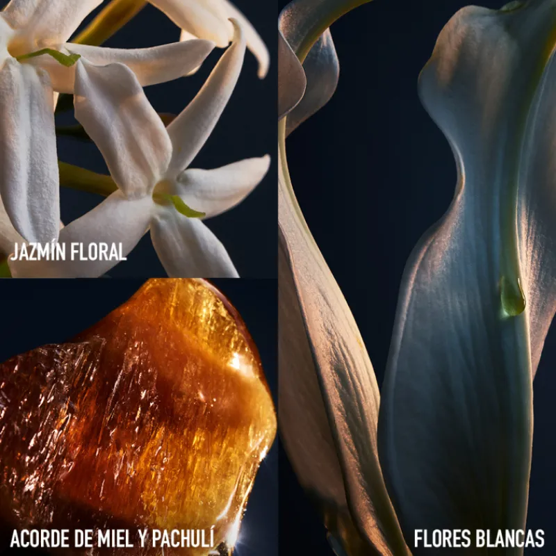 Hot Lady Million Eau de Parfum Mujer Eau De Parfum Mujer