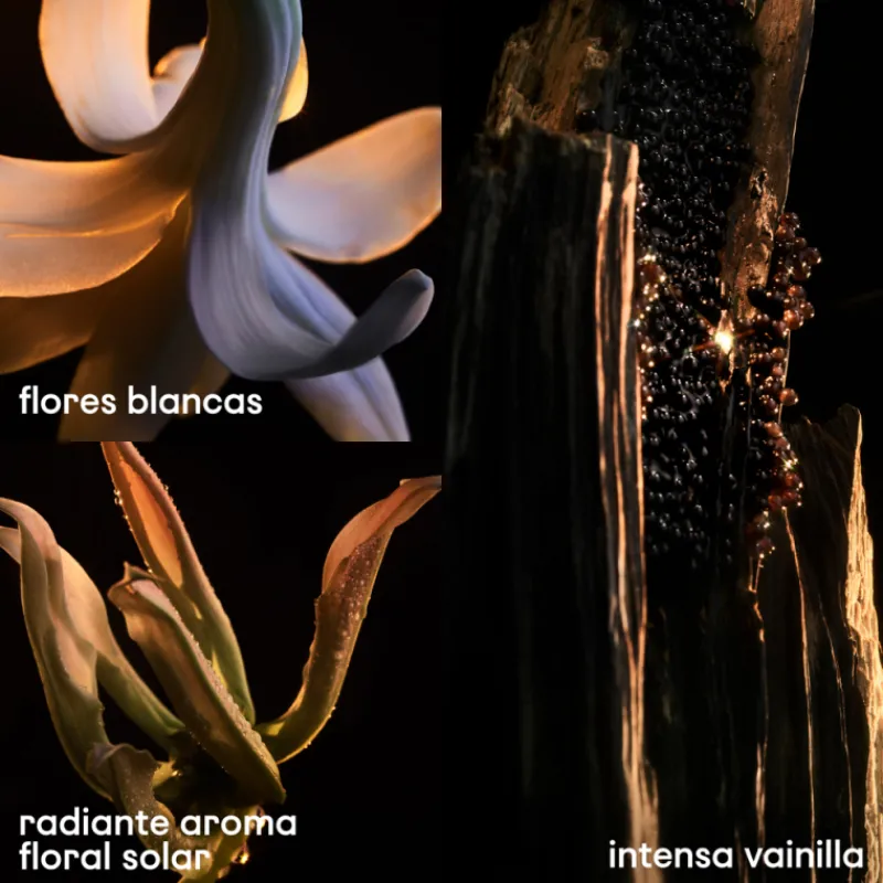 Discount LADY MILLION FABULOUS EDP Mujer Eau De Parfum Mujer