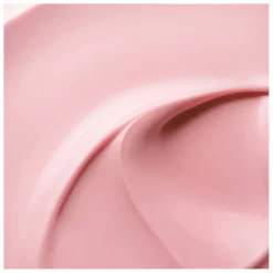 Clearance LANCÔME ABSOLUE CREMA RICA REGENERADORA RECARGABLE 60 ML Karité|Miscelas