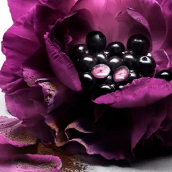 Hot LE NUIT TRÉSOR LE PARFUM PERFUME DE MUJER FLORAL Mujer Eau De Parfum Mujer