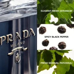 Hot L'HOMME EAU DE TOILETTE Hombre Eau De Toilette Hombre|Eau De Toilette