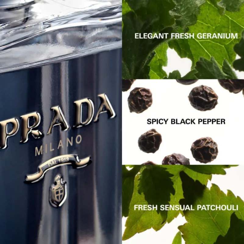 Hot L'HOMME EAU DE TOILETTE Hombre Eau De Toilette Hombre|Eau De Toilette