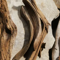 New Light Blue New Eau de Toilette Mujer Eau De Toilette Mujer