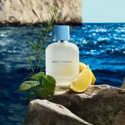 New Light Blue Pour Homme New Eau de Toilette Hombre Eau De Toilette Hombre|Eau De Toilette