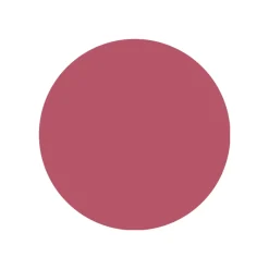 New Line N' Stain Tattoo Lip Liner Perfilador