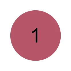 New Line N' Stain Tattoo Lip Liner Perfilador