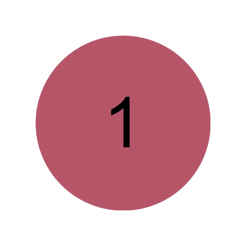 New Line N' Stain Tattoo Lip Liner Perfilador