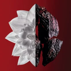 Discount L'INTERDIT EAU DE TOILETTE VAPORIZADOR Mujer Eau De Toilette Mujer