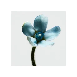 Clearance 001 WOMAN EDT Mujer Eau De Toilette Mujer