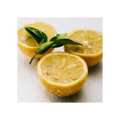 Outlet AGUA MAR CORAL EDT Mujer Eau De Toilette Mujer