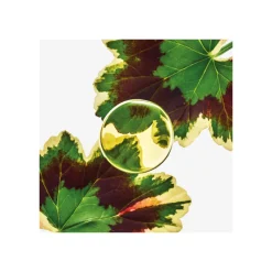 Sale ESENCIA ELIXIR Hombre Eau De Parfum Hombre|Eau De Parfum