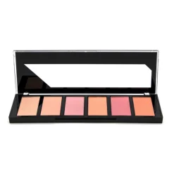 New BLUSH PALETTE COLORS Blush