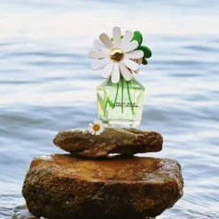 Sale DAISY WILD EAU DE PARFUM Mujer Eau De Parfum Mujer