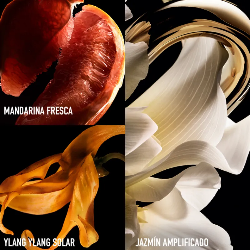 Best Million Gold For Her Pure Jasmine Eau de Parfum Mujer Eau De Parfum Mujer