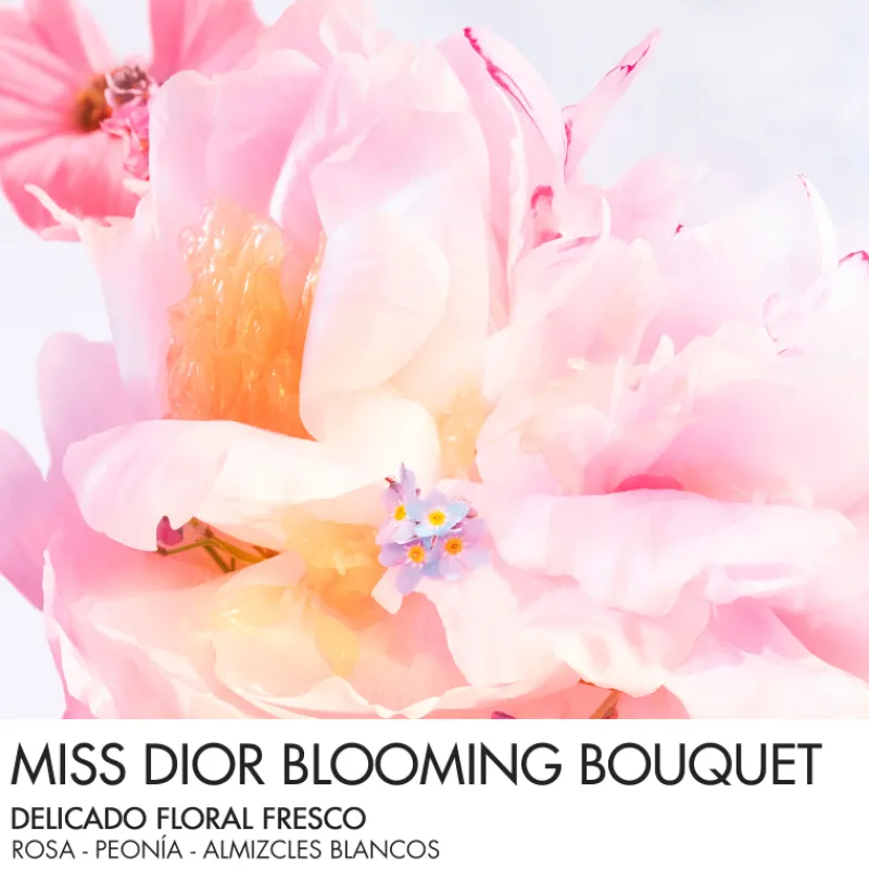 Discount MISS BLOOMING BOUQUET MINI MISS Perfume Sólido Perfume en barra sin alcohol Mujer Eau De Toilette Mujer