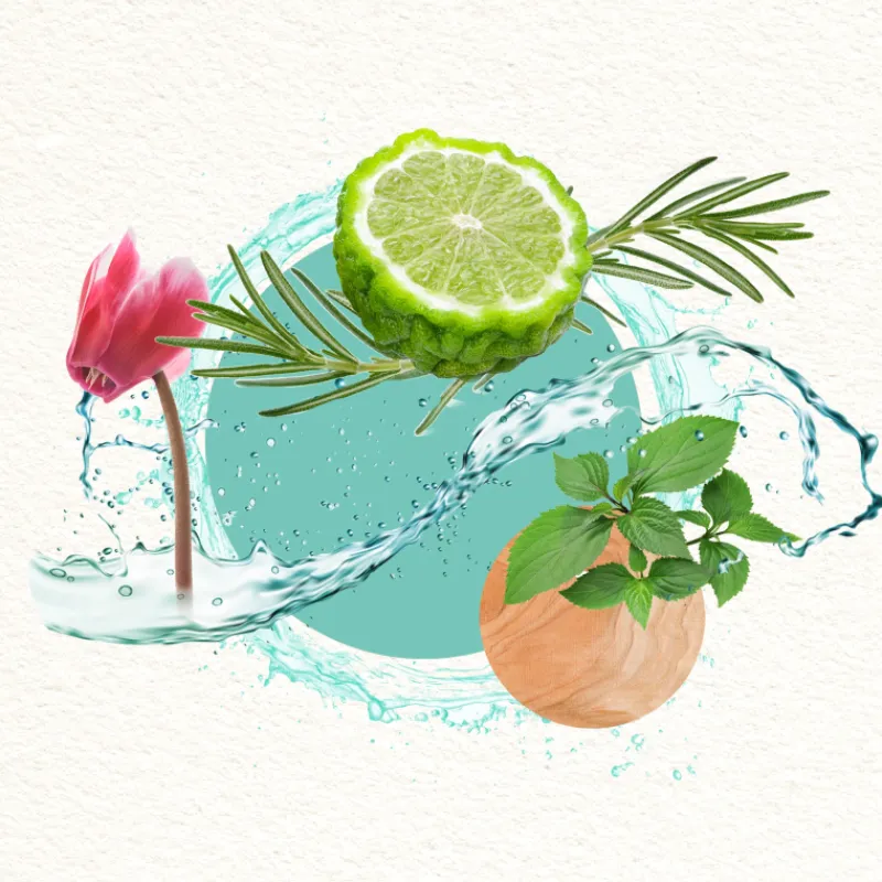 New MOOD FOR A DREAM MAN窶ÓN LIMITADA Hombre Eau De Toilette Hombre|Eau De Toilette