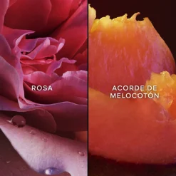 Outlet NAHEMA EDP 75ML Mujer Eau De Parfum Mujer