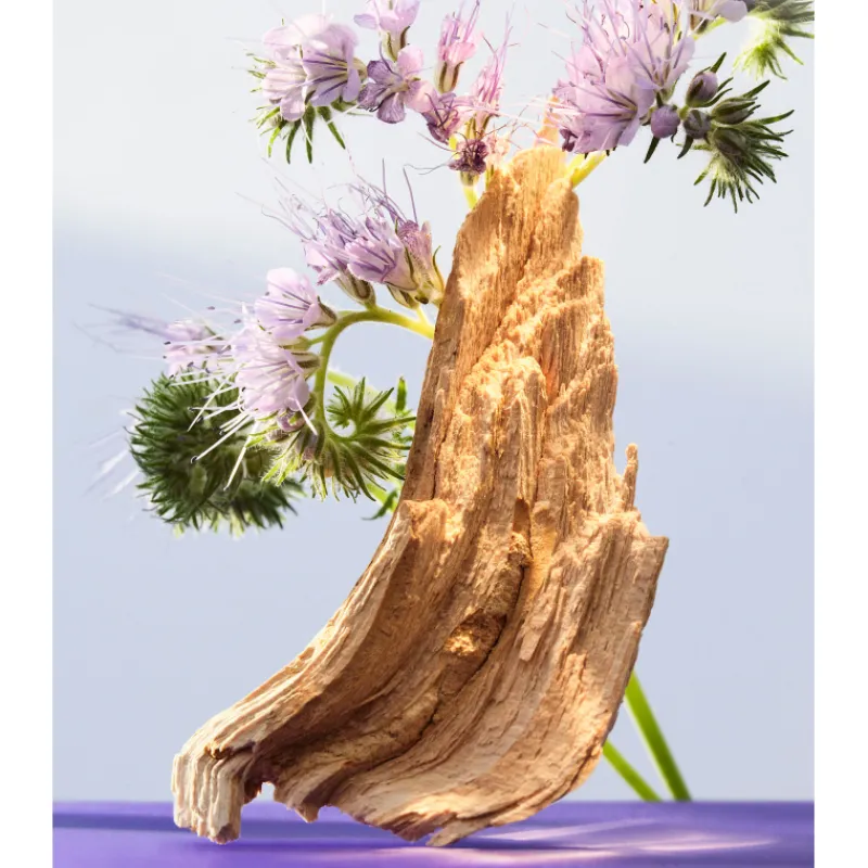 Best OMNIA AMETHYSTE EAU DE TOILETTE Mujer Eau De Toilette Mujer