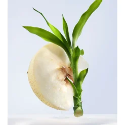 OMNIA CRYSTALLINE EAU DE TOILETTE Mujer Eau De Toilette Mujer