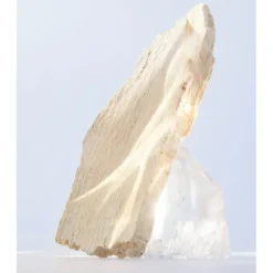 OMNIA CRYSTALLINE EAU DE TOILETTE Mujer Eau De Toilette Mujer