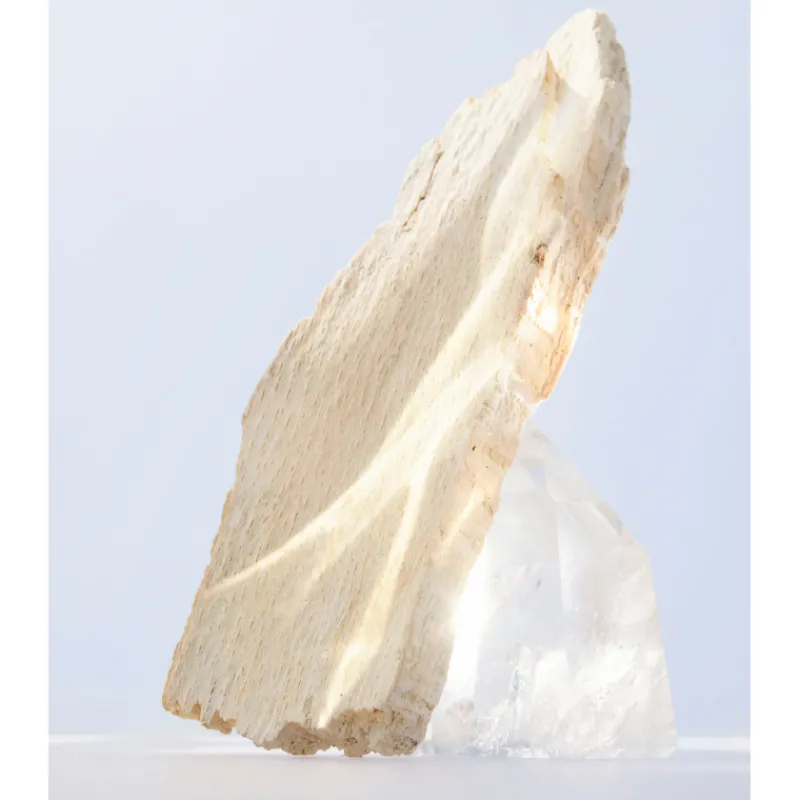 OMNIA CRYSTALLINE EAU DE TOILETTE Mujer Eau De Toilette Mujer