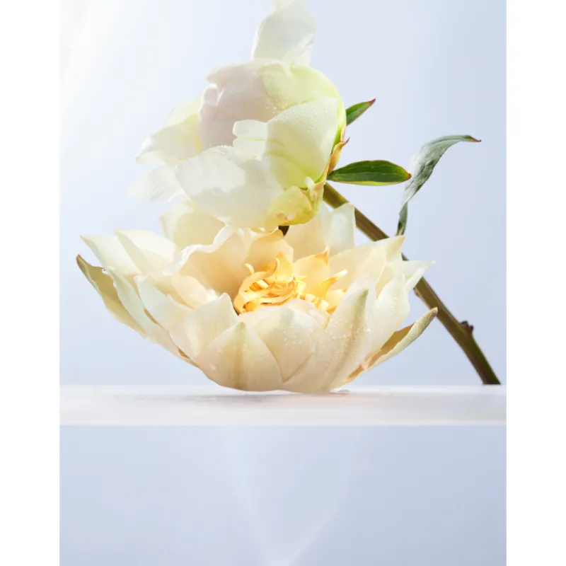 OMNIA CRYSTALLINE EAU DE TOILETTE Mujer Eau De Toilette Mujer