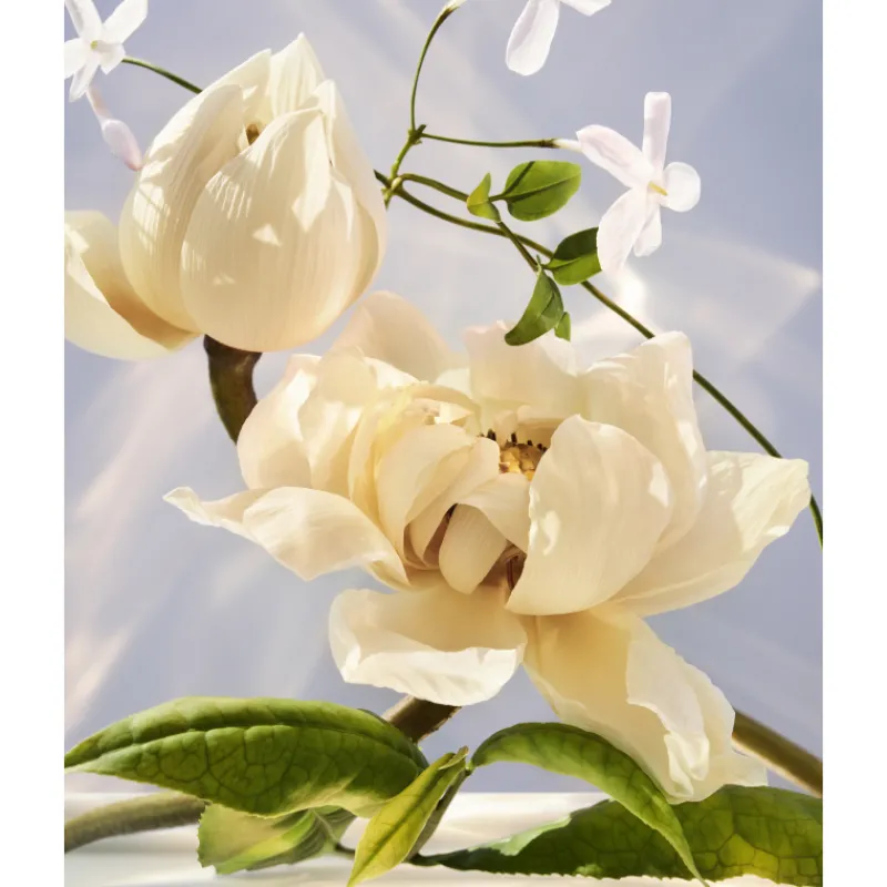 Omnia Crystalline Eau de Parfum Mujer Eau De Parfum Mujer