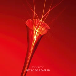 Sale OR ROUGE LA CRÉME ESSENTIELLE Luminosidad|Arrugas