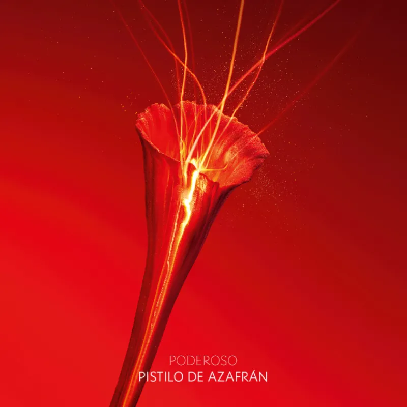 Sale OR ROUGE LA CRÉME ESSENTIELLE Luminosidad|Arrugas