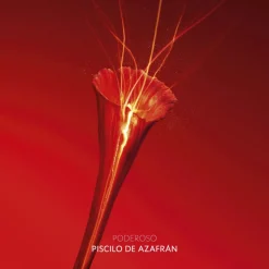 Hot OR ROUGE LOTION Luminosidad|Arrugas