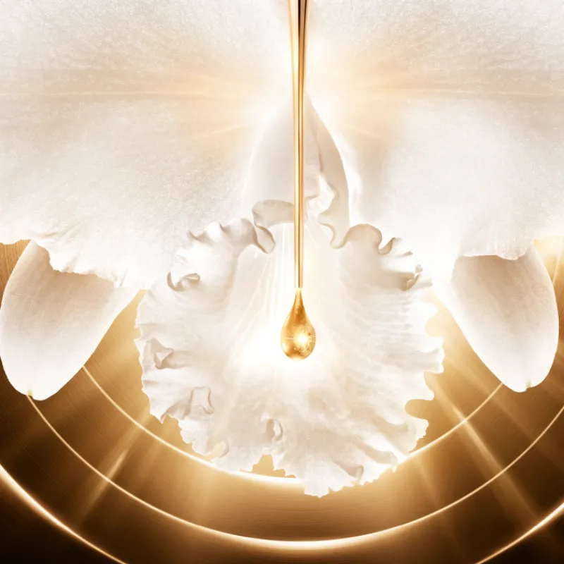 Outlet ORCHIDÉE IMPÉRIALE GOLD NOBILE EL SÉRUM Orquídea|Luminosidad